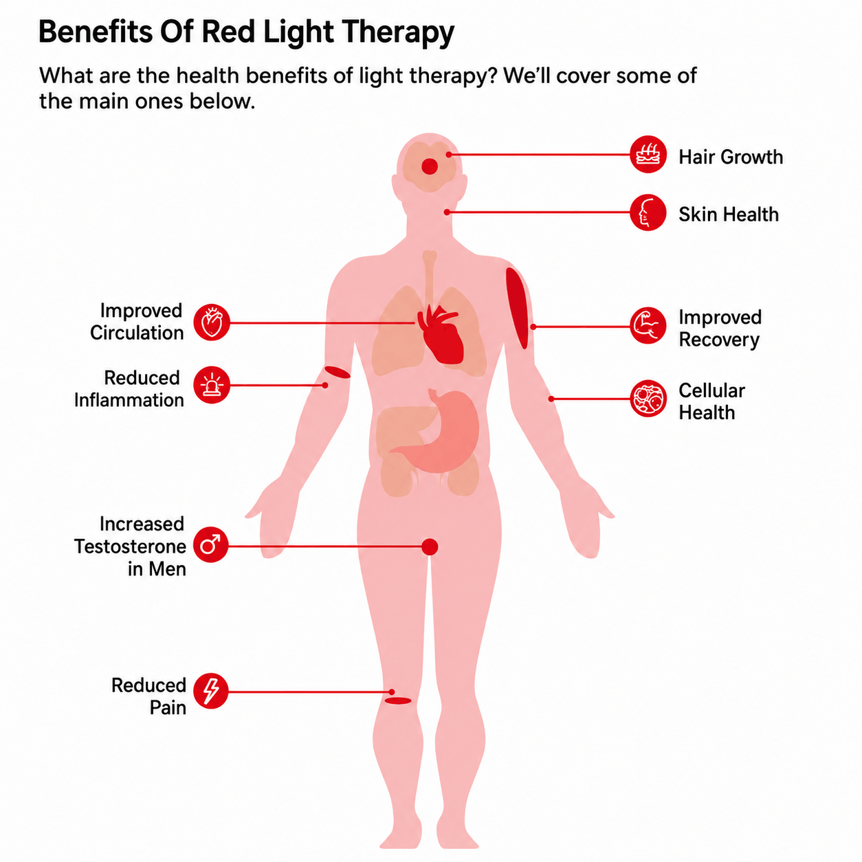 Kylin Red Light Therapy Knee Belt AU-KR61
